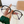 New square frame young fashion presbyopia glasses